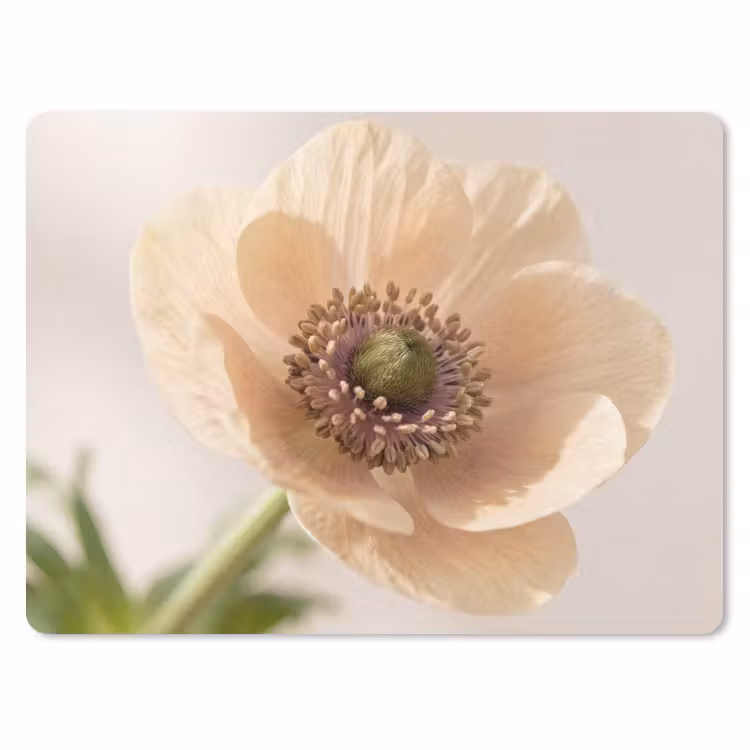 Muismat - Bloem - Minimalistisch - Groen — 1