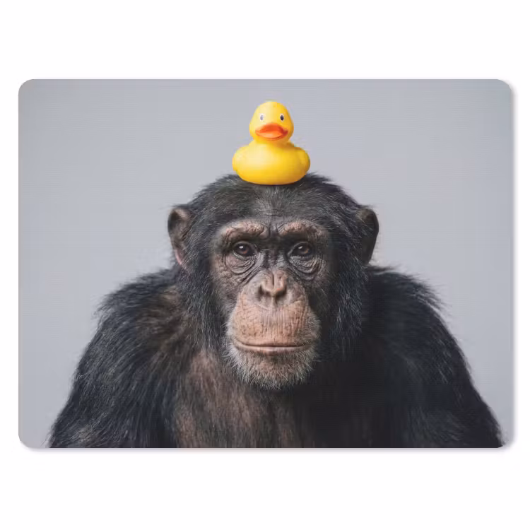 Muismat - Chimpansee - Badeend - Grijs — 1