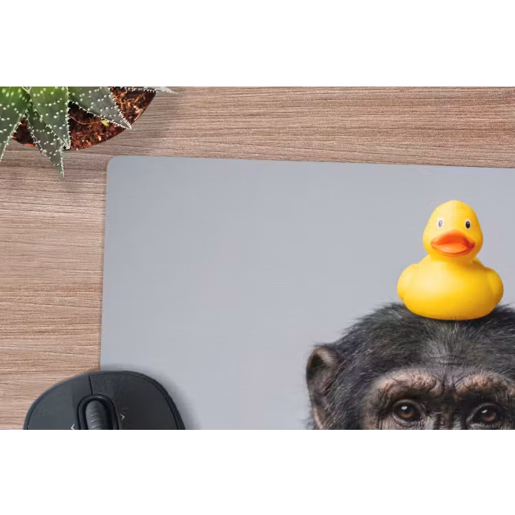 Muismat - Chimpansee - Badeend - Grijs — 4