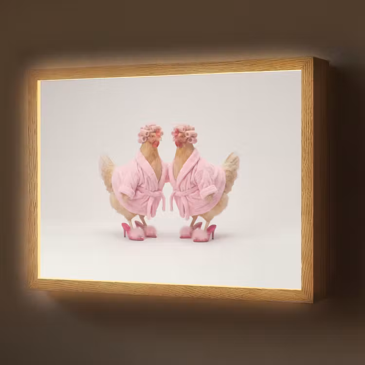 Lightbox - Wandlamp - Kippen - Badjas - Krukspelden - Hakken — 1