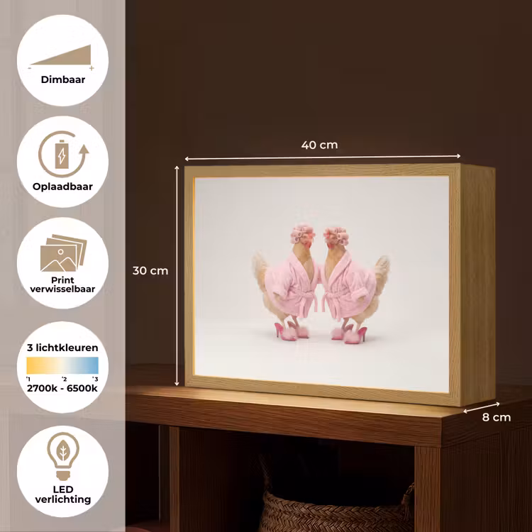 Lightbox - Wandlamp - Kippen - Badjas - Krukspelden - Hakken — 10