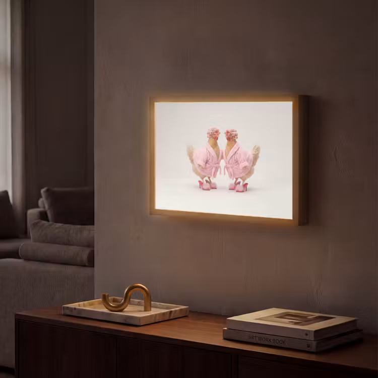 Lightbox - Wandlamp - Kippen - Badjas - Krukspelden - Hakken — 2