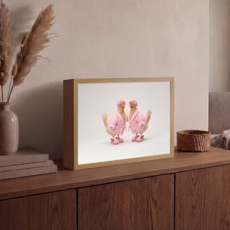 Lightbox - Wandlamp - Kippen - Badjas - Krukspelden - Hakken — 4