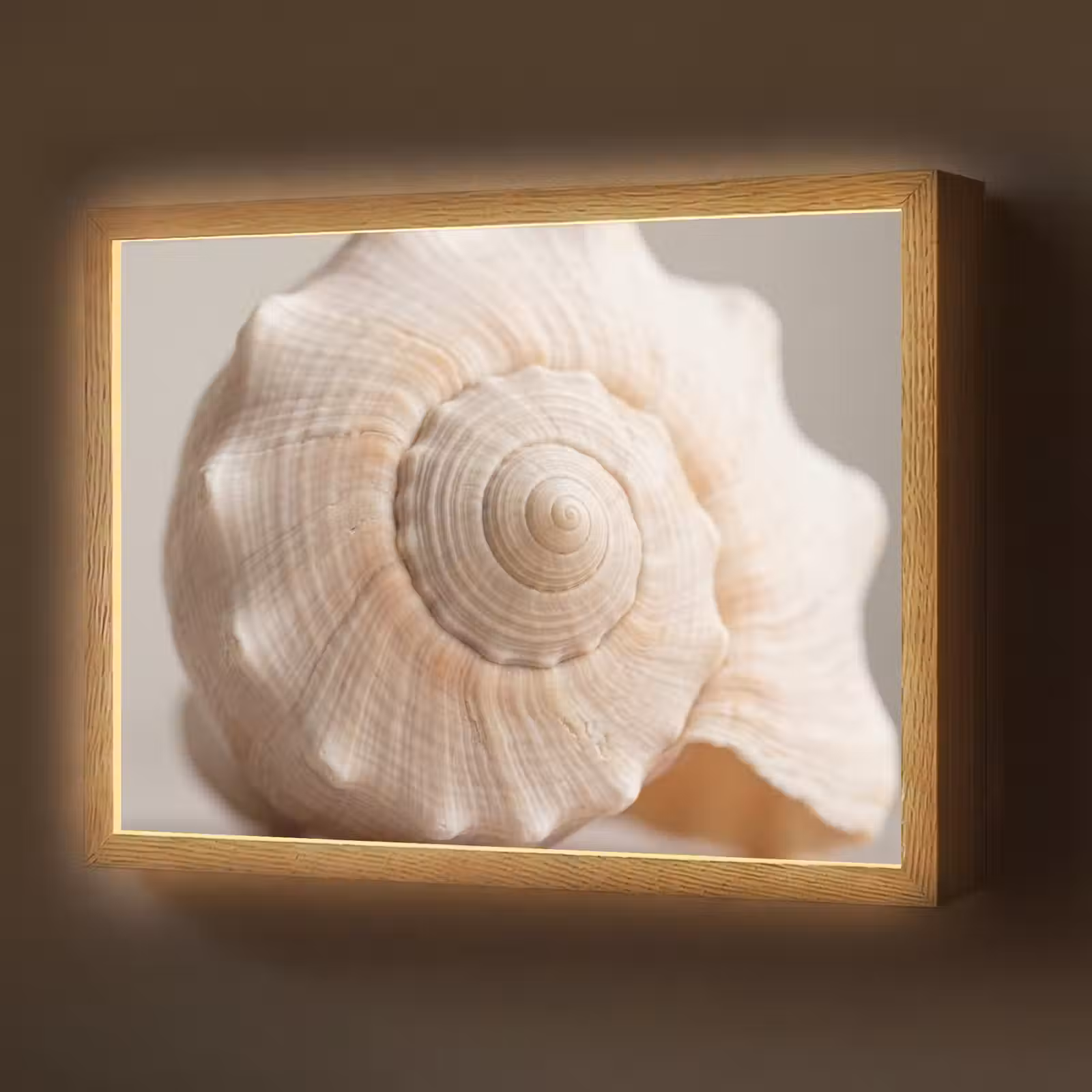 Lightbox - Wandlamp - Schelp - Detail - Beige — 1