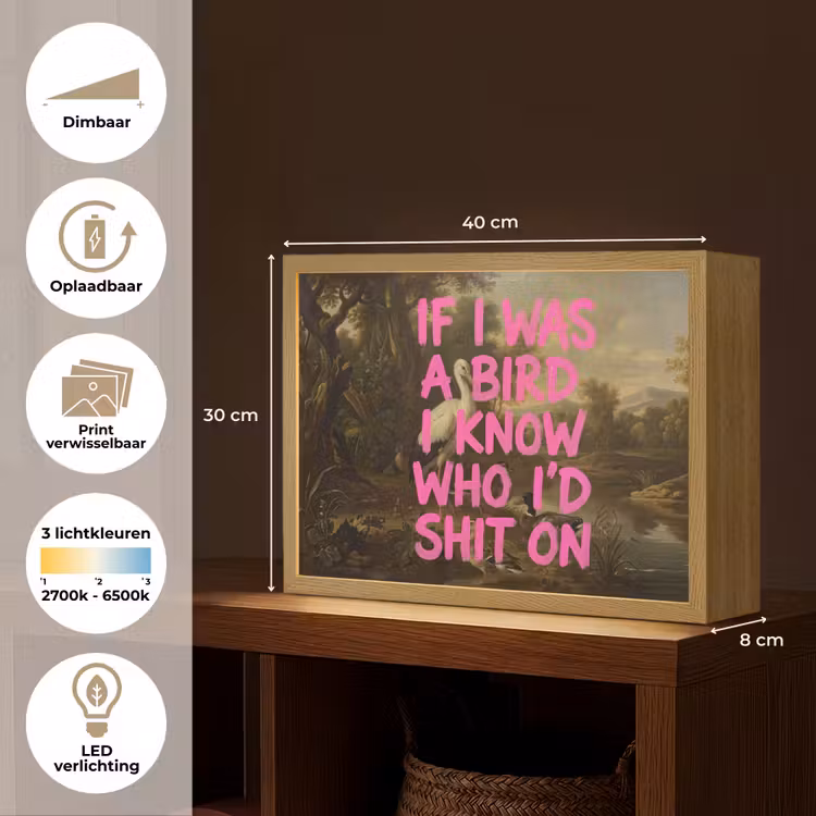 Lightbox - Wandlamp - Klassiek - Humor - Roze — 10