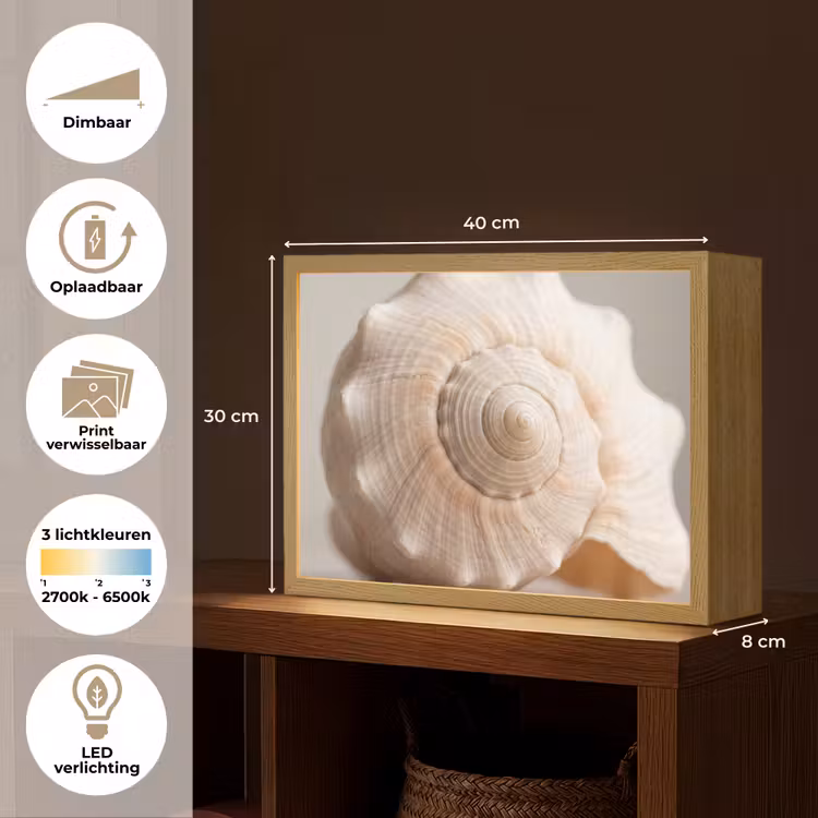 Lightbox - Wandlamp - Schelp - Detail - Beige — 10