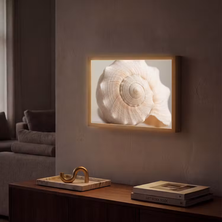 Lightbox - Wandlamp - Schelp - Detail - Beige — 2