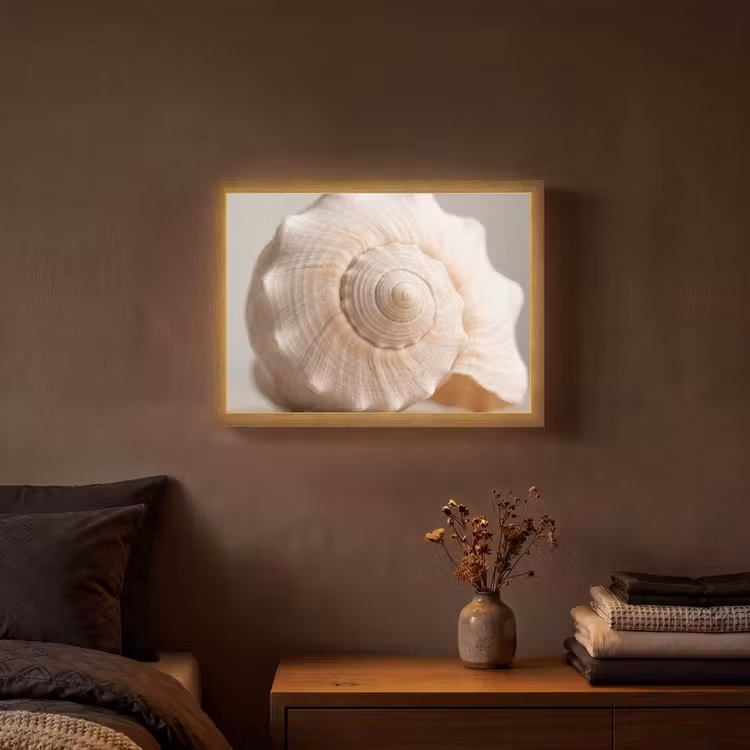 Lightbox - Wandlamp - Schelp - Detail - Beige — 3