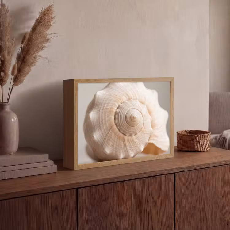 Lightbox - Wandlamp - Schelp - Detail - Beige — 4