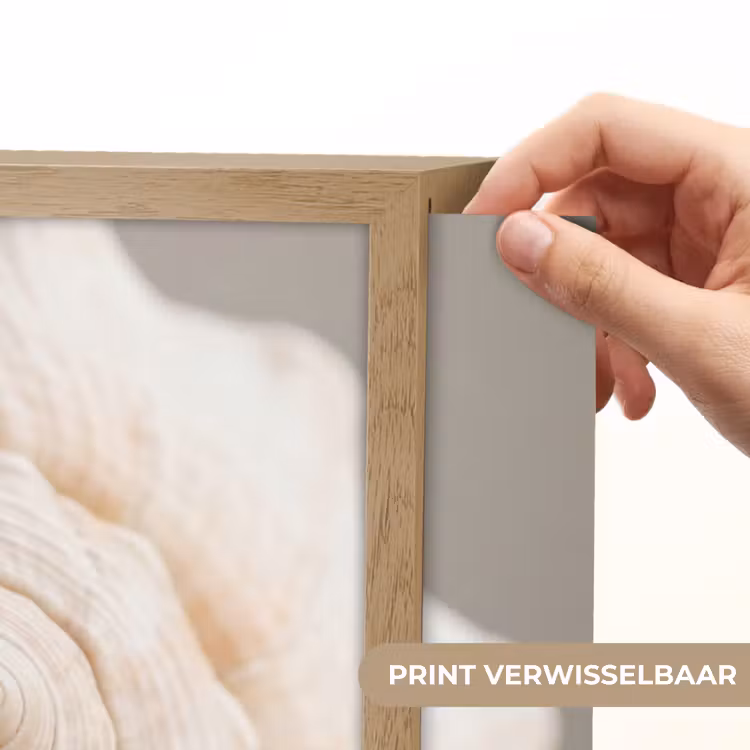 Lightbox - Wandlamp - Schelp - Detail - Beige — 5