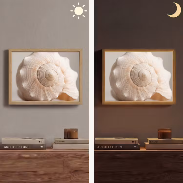 Lightbox - Wandlamp - Schelp - Detail - Beige — 6