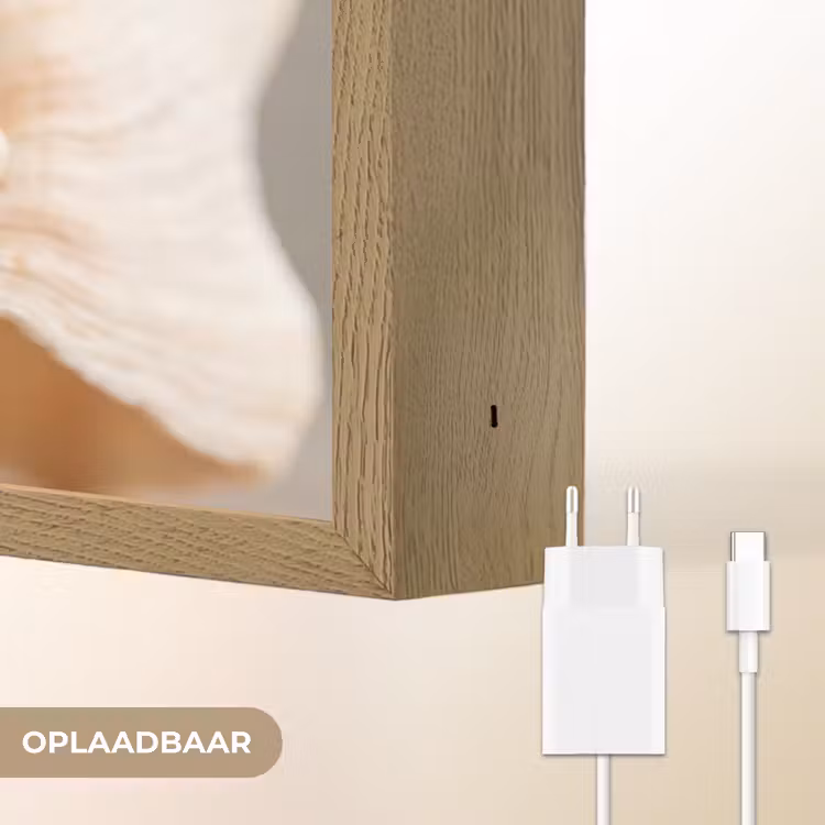 Lightbox - Wandlamp - Schelp - Detail - Beige — 7