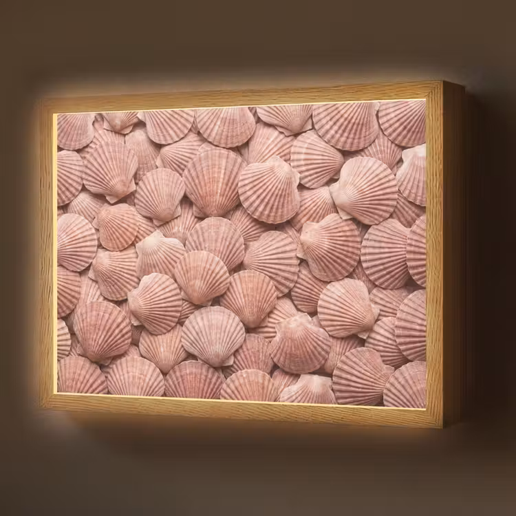Lightbox - Wandlamp - Schelpen - Patroon - Roze — 1