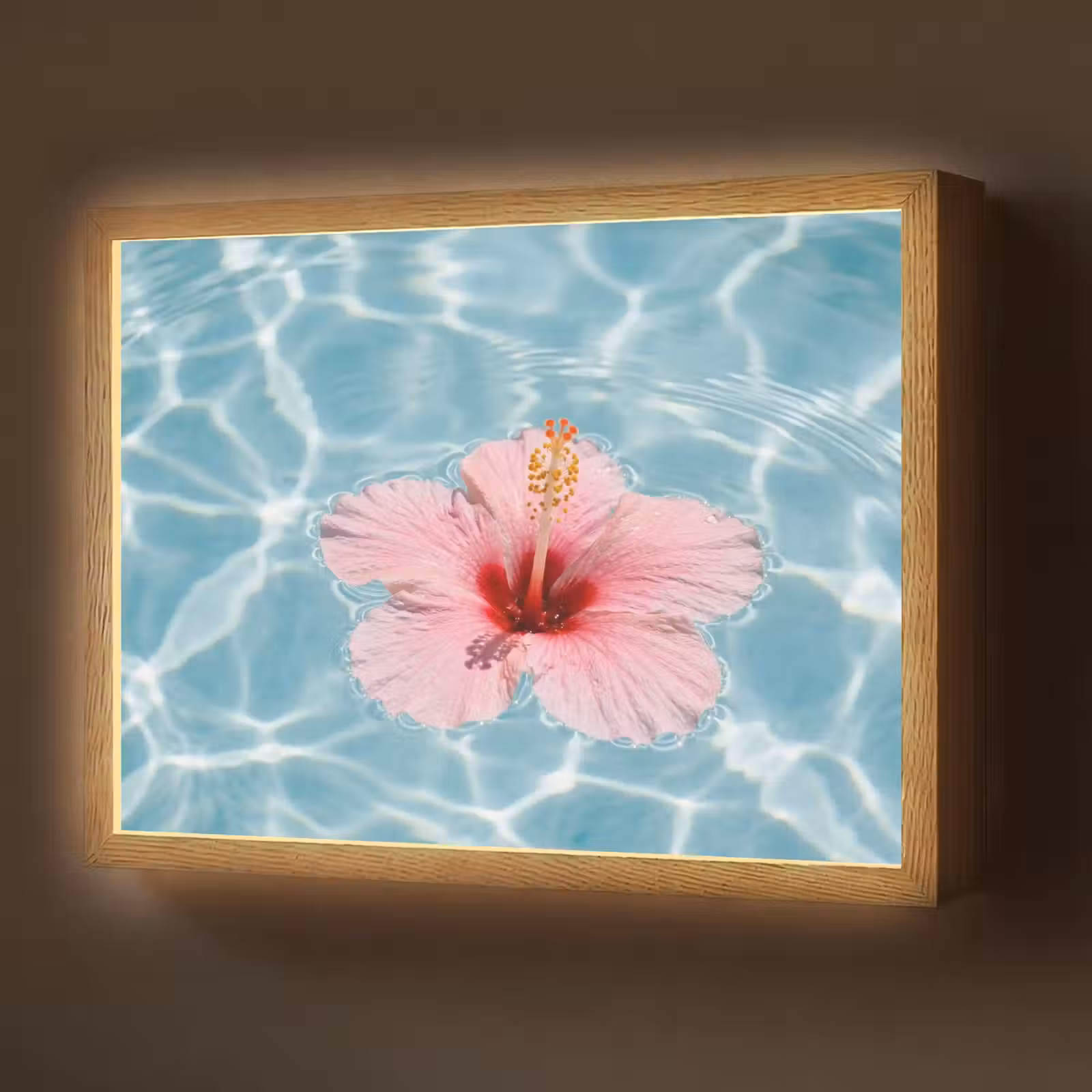 Lightbox - Wandlamp - Hibiscus - Water - Roze — 1