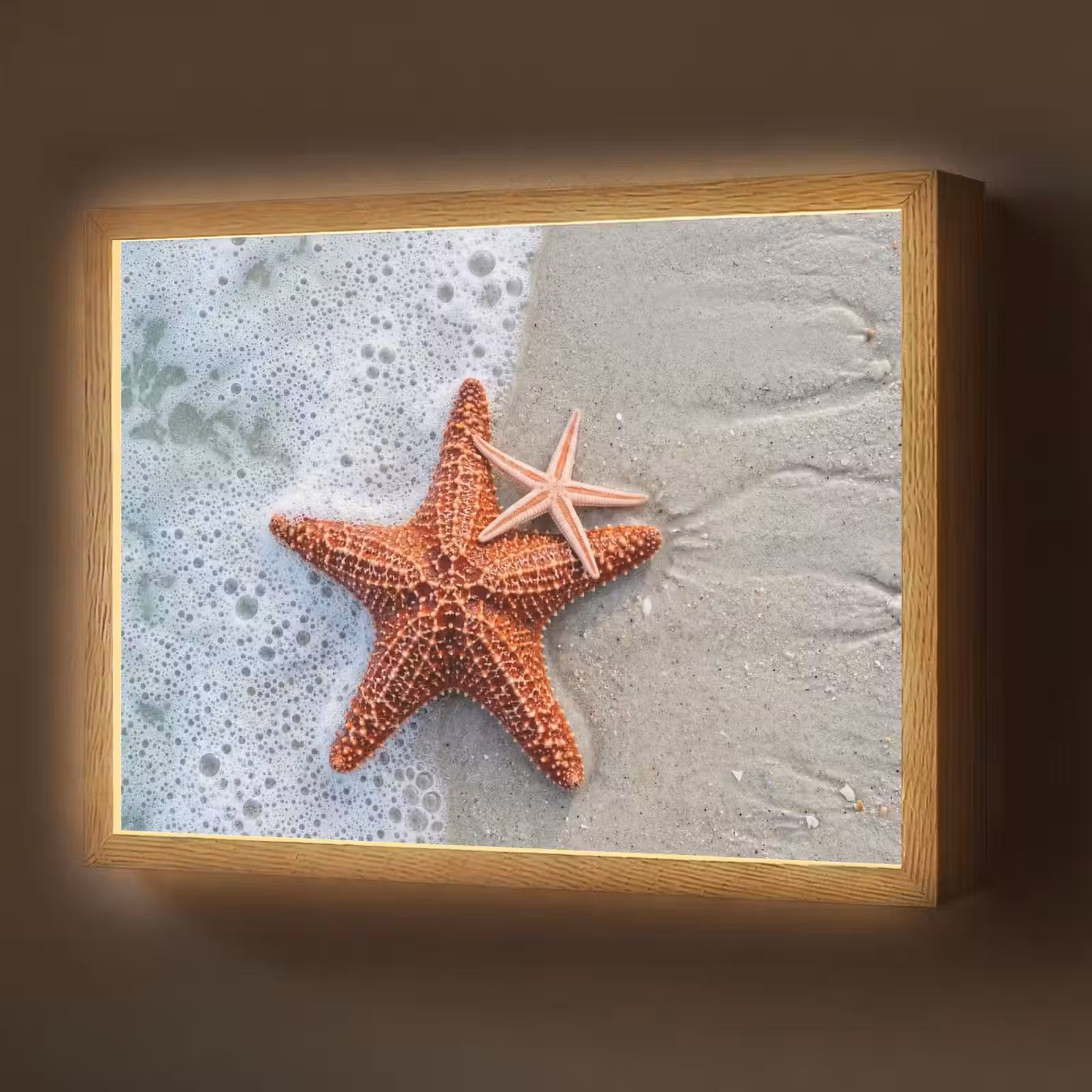 Lightbox - Wandlamp - Zeester - Strand - Zee — 1