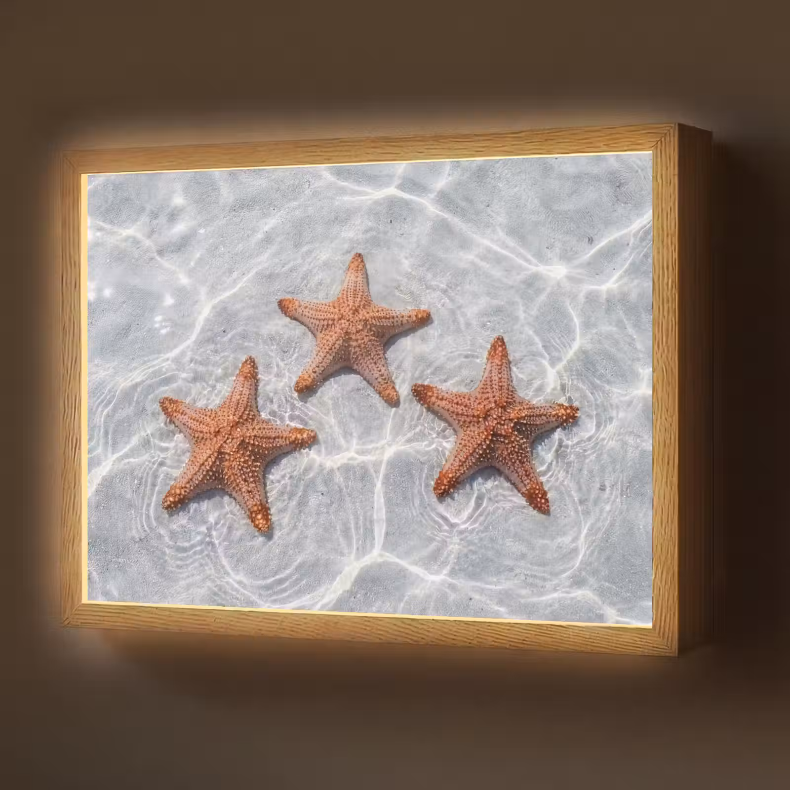 Lightbox - Wandlamp - Zeesterren - Water - Helder — 1