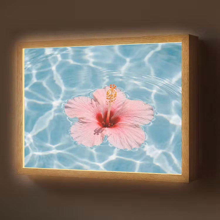 Lightbox - Wandlamp - Hibiscus - Water - Roze — 1