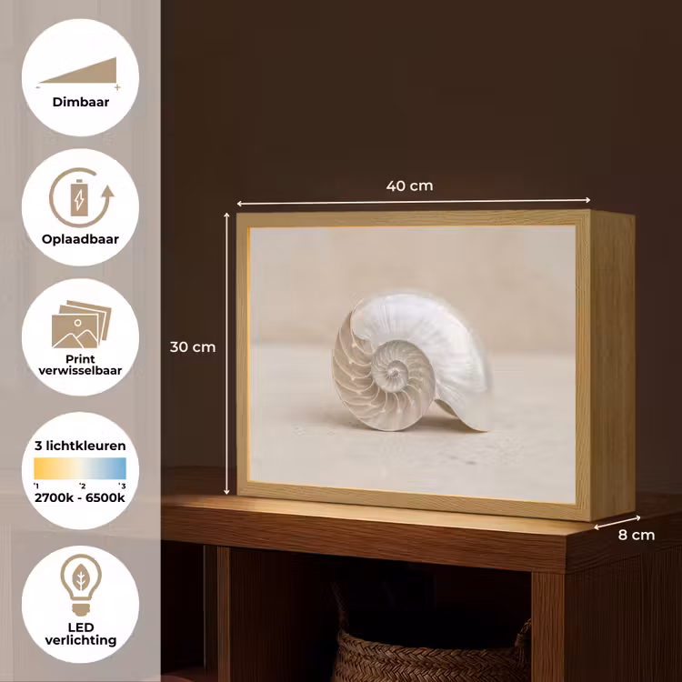 Lightbox - Wandlamp - Schelp - Spiraal - Beige — 10
