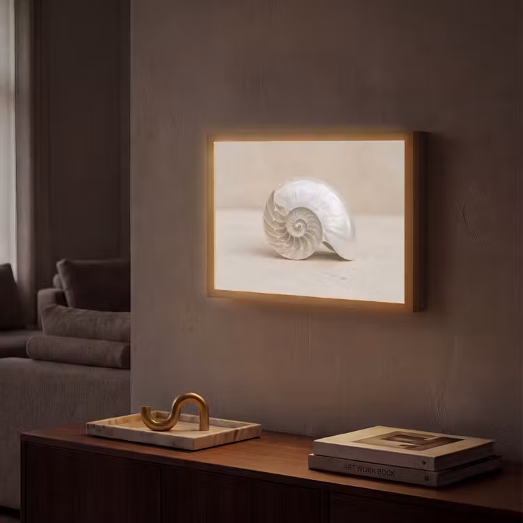 Lightbox - Wandlamp - Schelp - Spiraal - Beige — 2
