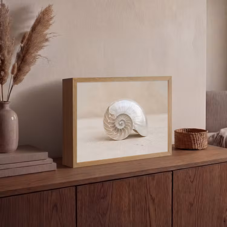Lightbox - Wandlamp - Schelp - Spiraal - Beige — 4