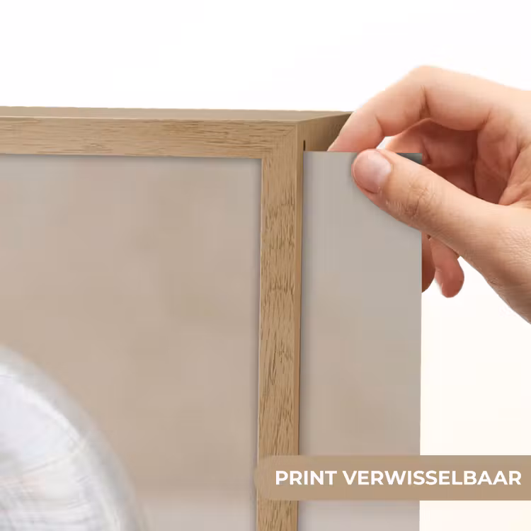 Lightbox - Wandlamp - Schelp - Spiraal - Beige — 5
