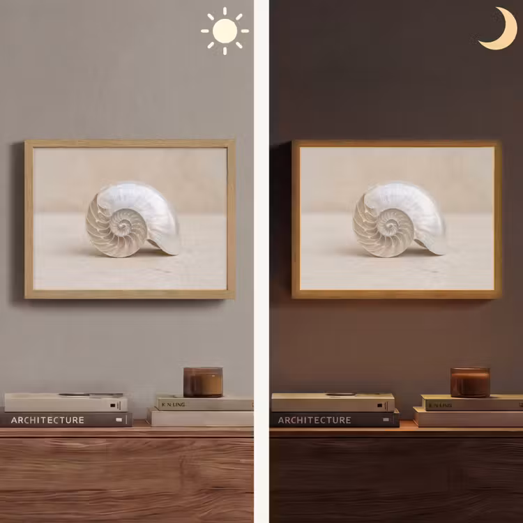 Lightbox - Wandlamp - Schelp - Spiraal - Beige — 6