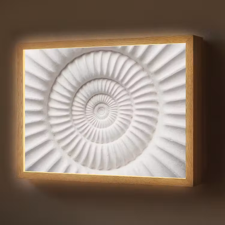 Lightbox - Wandlamp - Schelp - Spiraal - Wit — 1