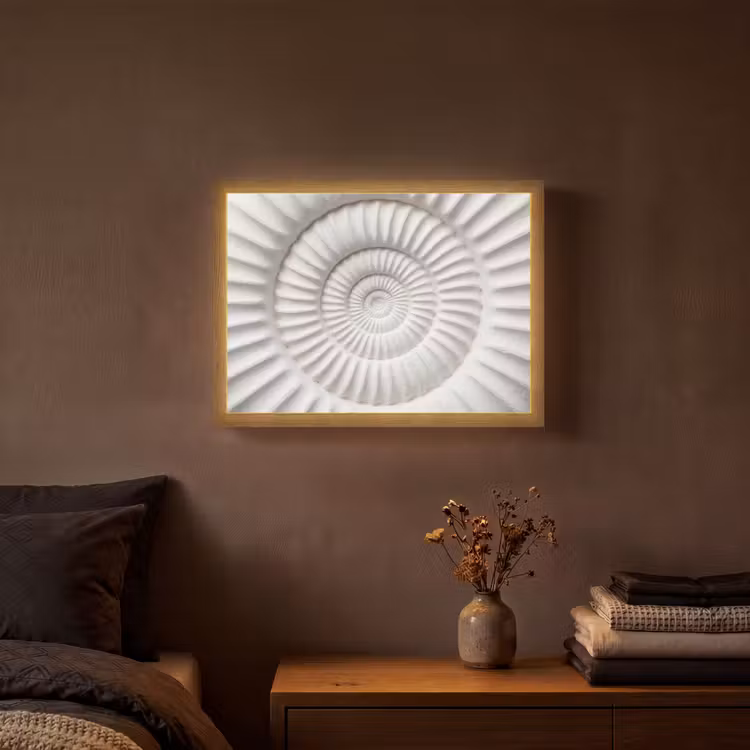 Lightbox - Wandlamp - Schelp - Spiraal - Wit — 3