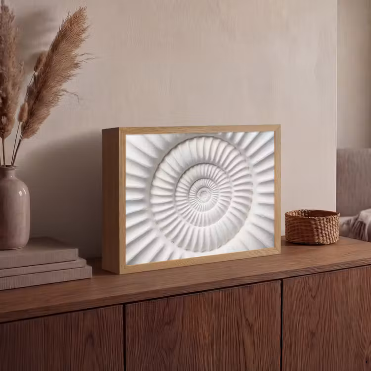 Lightbox - Wandlamp - Schelp - Spiraal - Wit — 4