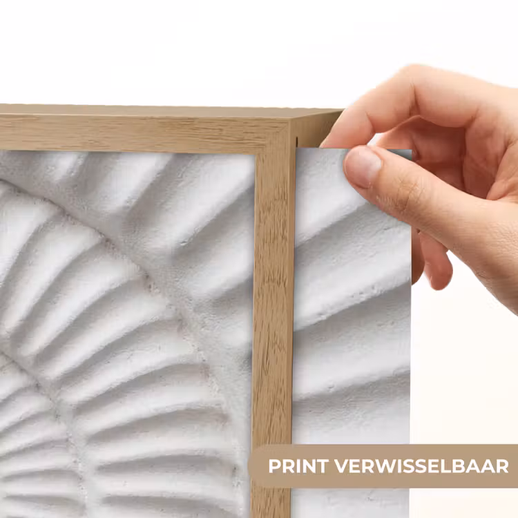 Lightbox - Wandlamp - Schelp - Spiraal - Wit — 5