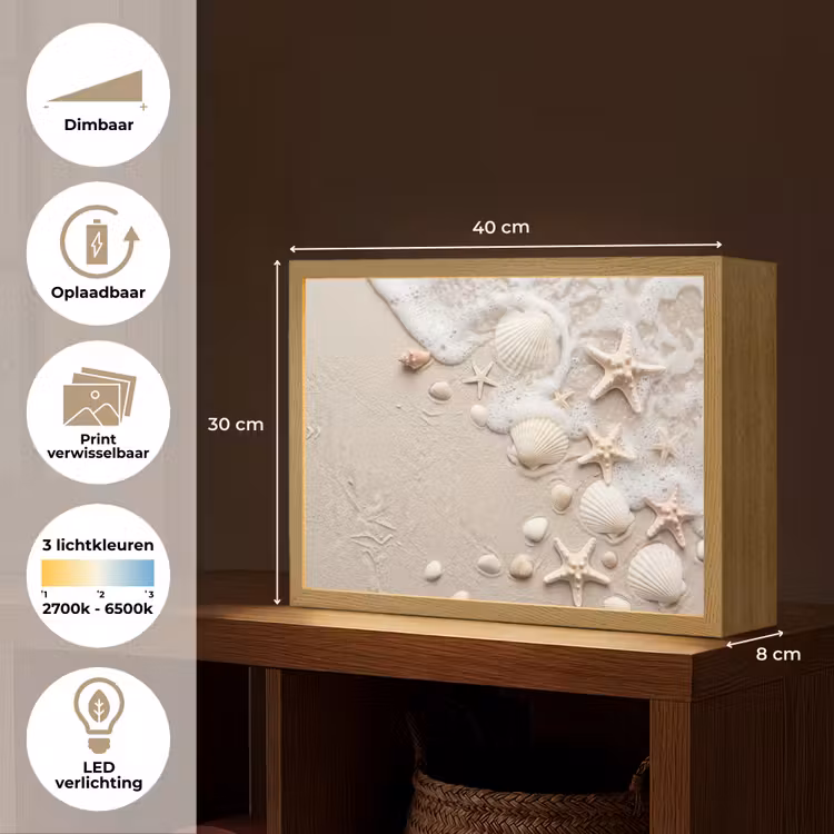 Lightbox - Wandlamp - Schelpen - Zeesterren - Strand — 10