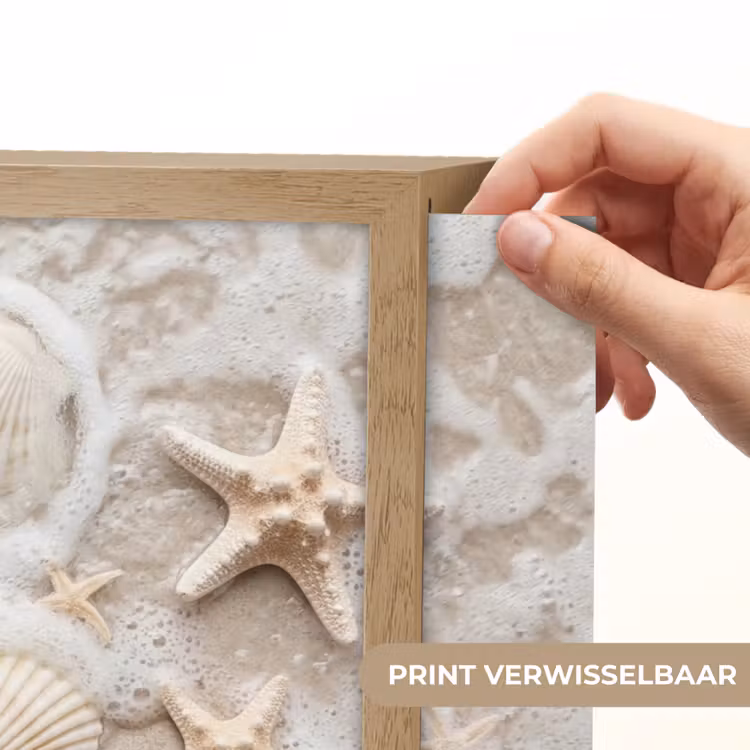 Lightbox - Wandlamp - Schelpen - Zeesterren - Strand — 5