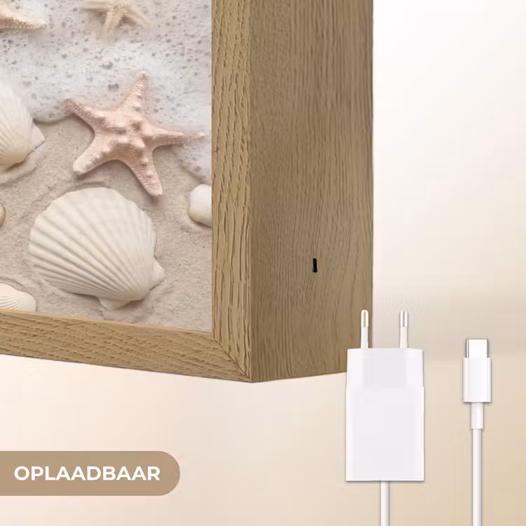 Lightbox - Wandlamp - Schelpen - Zeesterren - Strand — 7