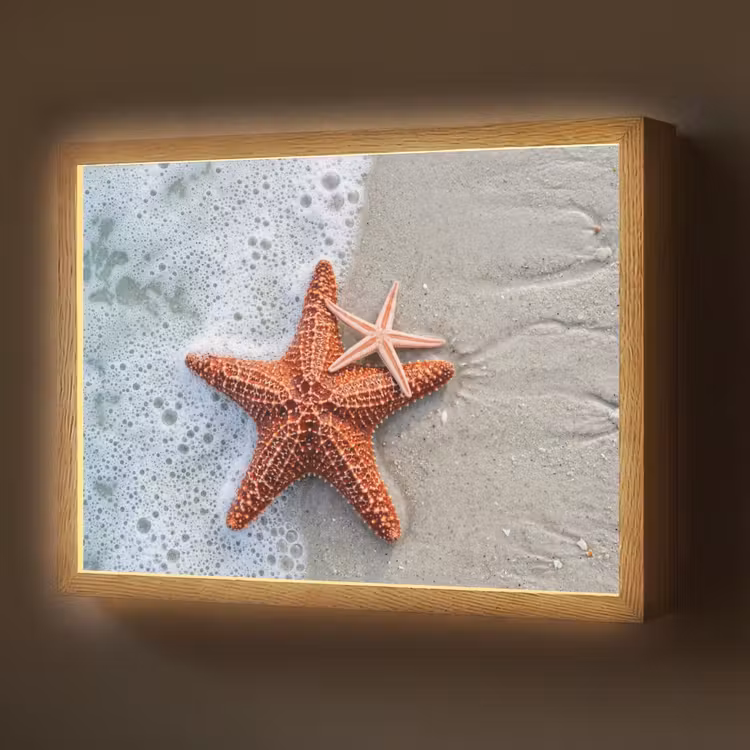 Lightbox - Wandlamp - Zeester - Strand - Zee — 1