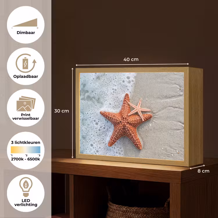 Lightbox - Wandlamp - Zeester - Strand - Zee — 10