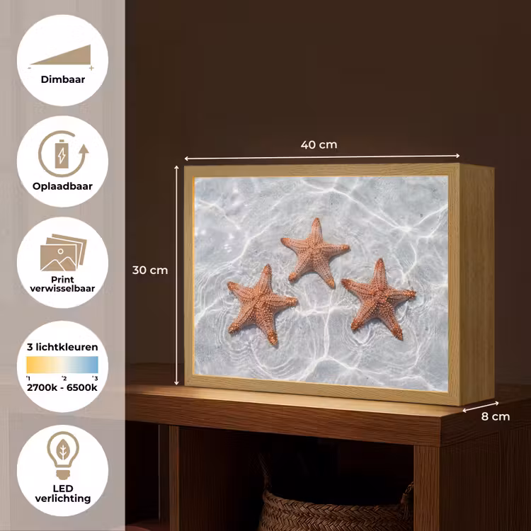 Lightbox - Wandlamp - Zeesterren - Water - Helder — 10
