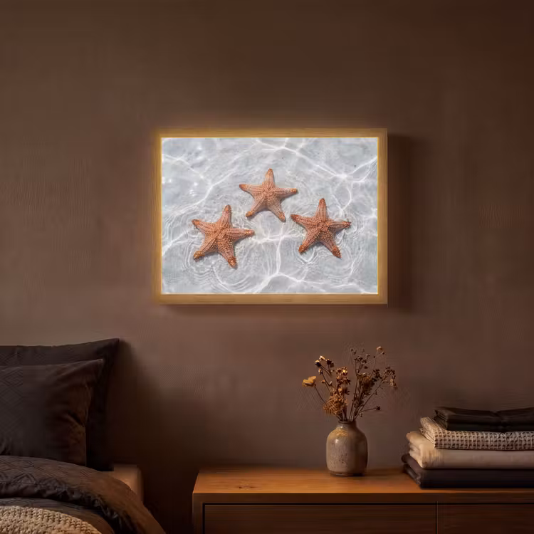 Lightbox - Wandlamp - Zeesterren - Water - Helder — 3