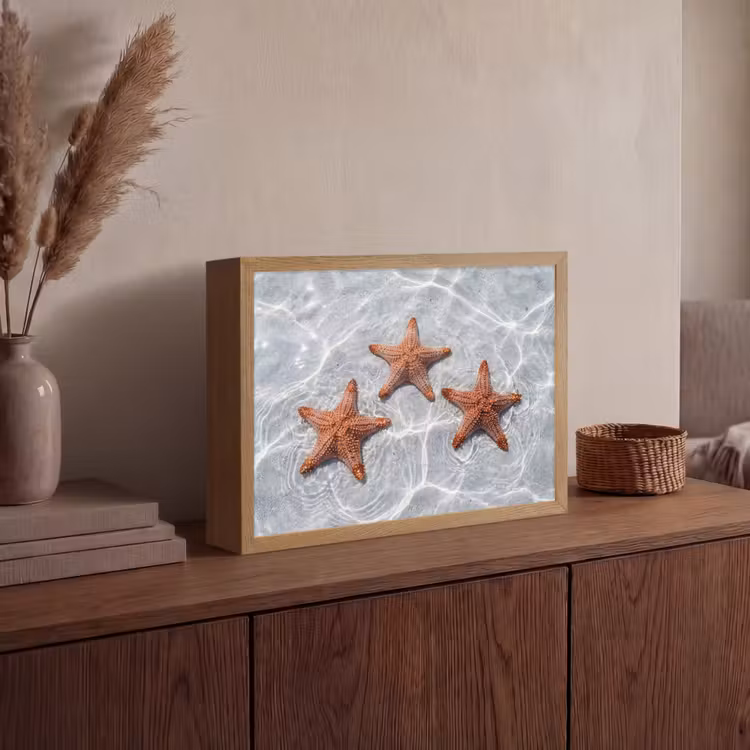 Lightbox - Wandlamp - Zeesterren - Water - Helder — 4