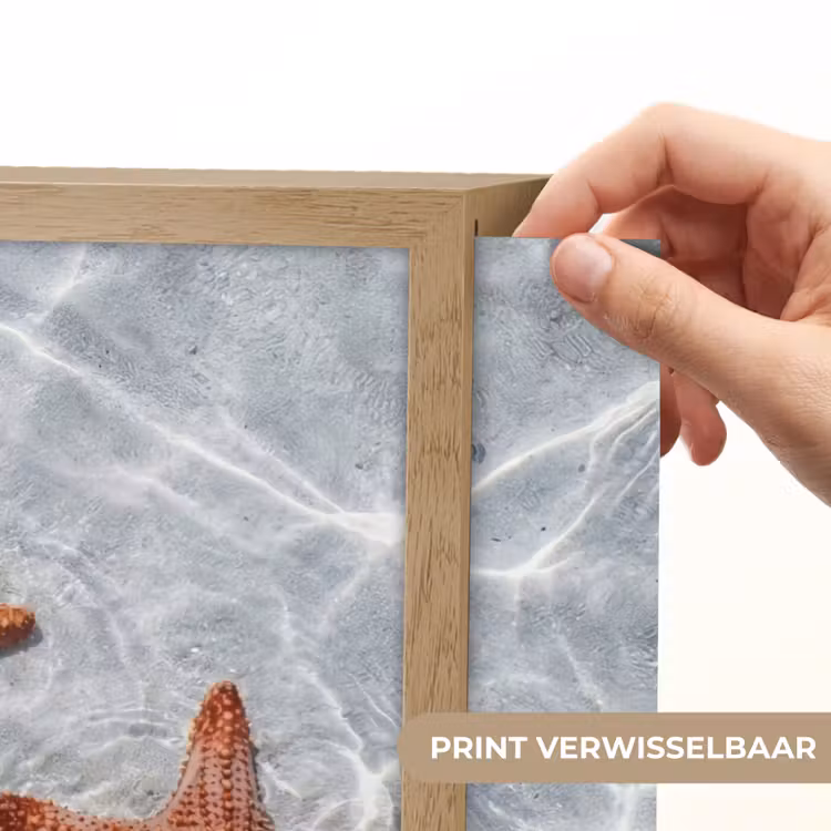 Lightbox - Wandlamp - Zeesterren - Water - Helder — 5