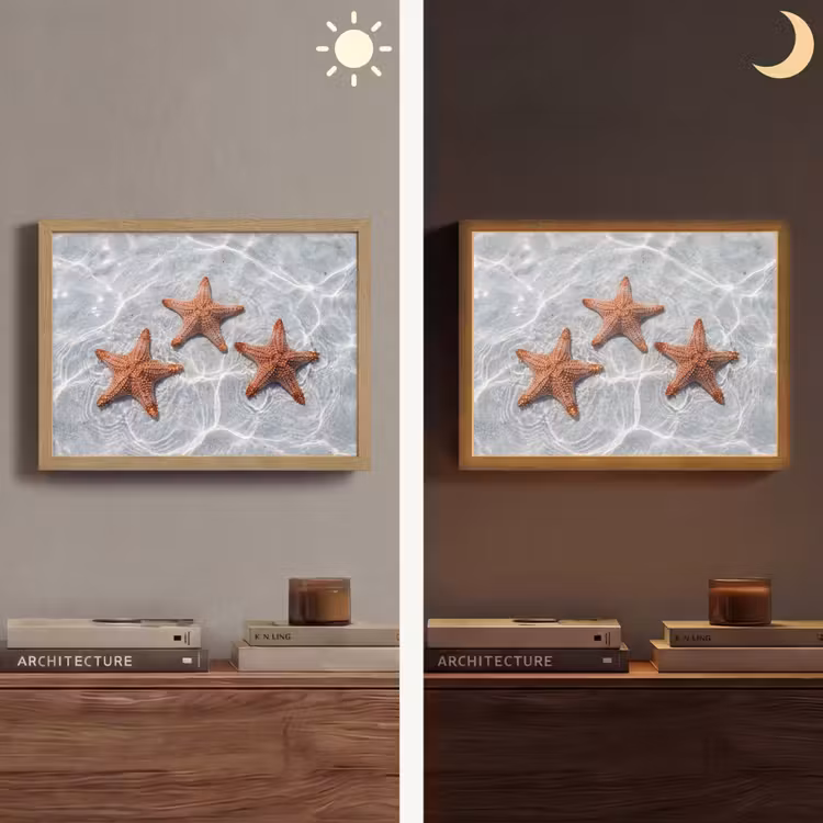 Lightbox - Wandlamp - Zeesterren - Water - Helder — 6