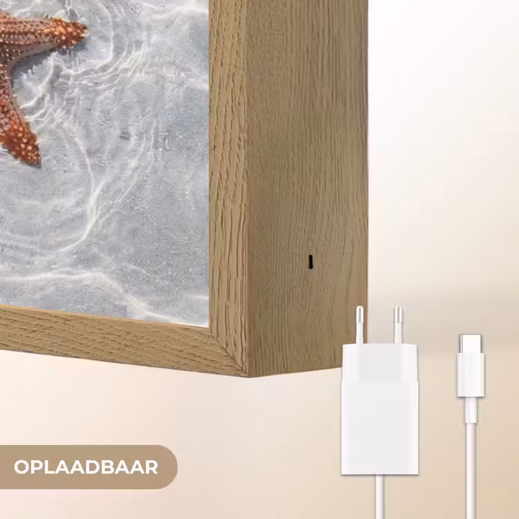 Lightbox - Wandlamp - Zeesterren - Water - Helder — 7