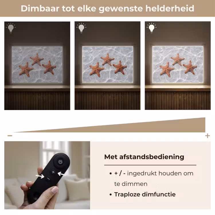 Lightbox - Wandlamp - Zeesterren - Water - Helder — 9