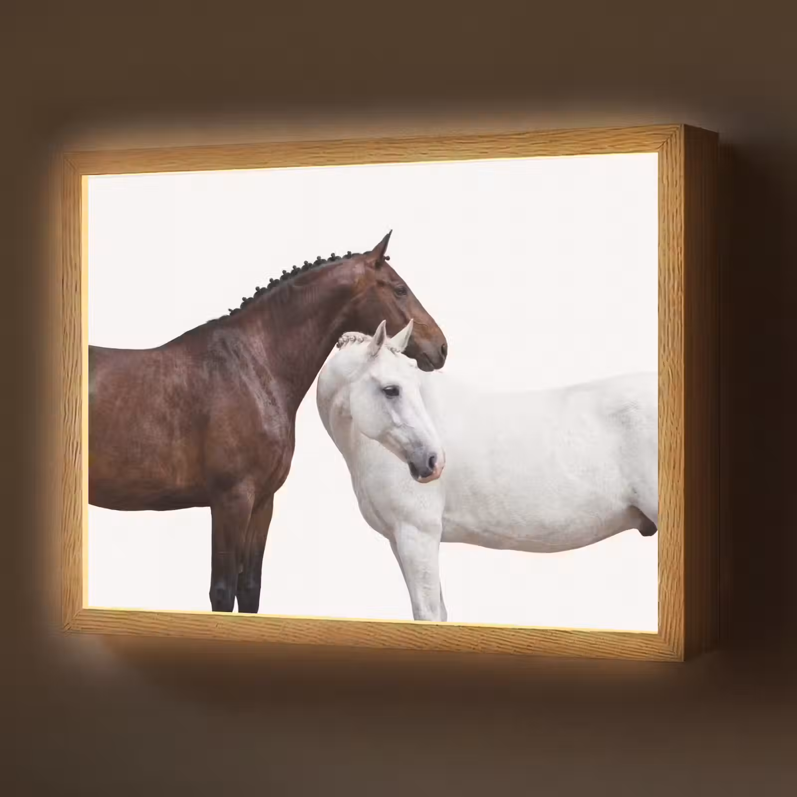 Lightbox - Wandlamp - Paard - Modern - Balans — 1