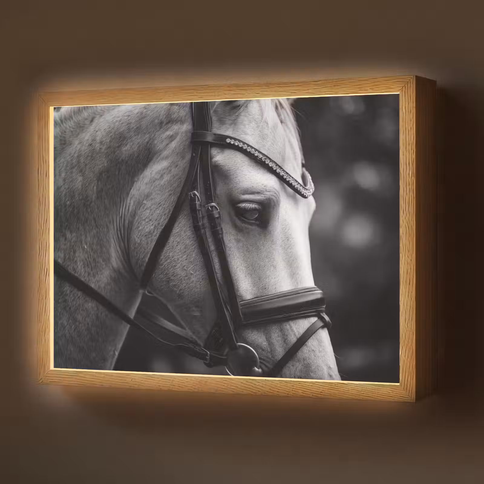 Lightbox - Wandlamp - Paard - Schimmel - Portret — 1