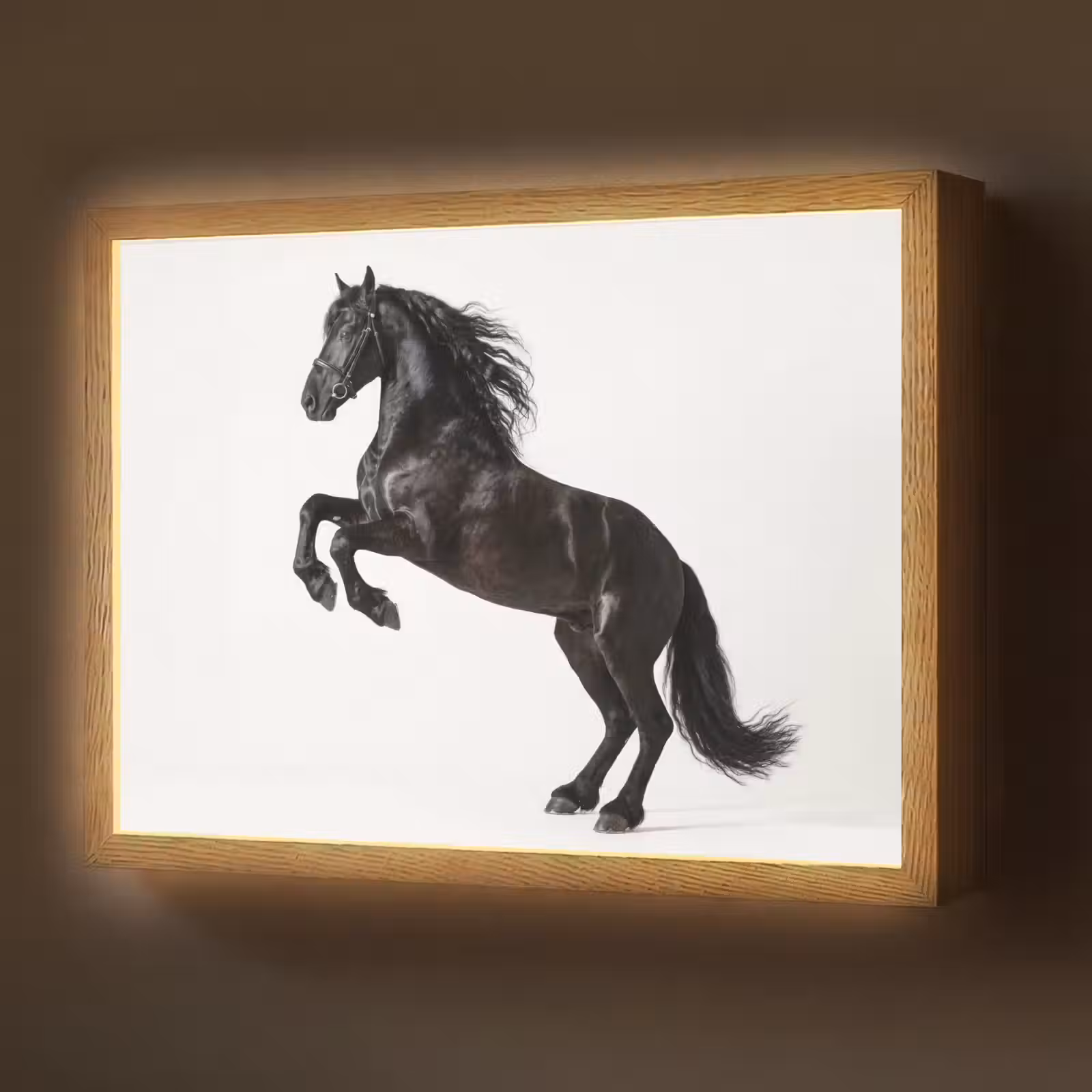 Lightbox - Wandlamp - Zwart - Paard - Portret — 1