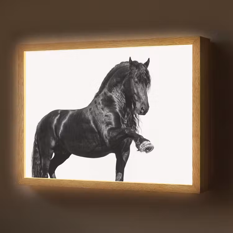 Lightbox - Wandlamp - Fries - Hengst - Modern — 1