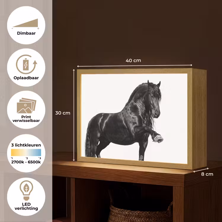 Lightbox - Wandlamp - Fries - Hengst - Modern — 10