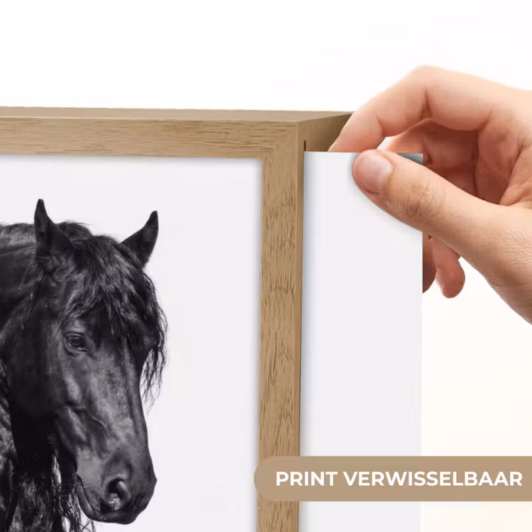 Lightbox - Wandlamp - Fries - Hengst - Modern — 5