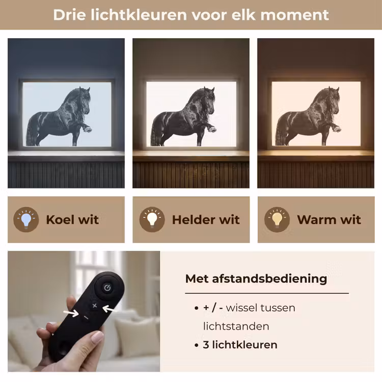 Lightbox - Wandlamp - Fries - Hengst - Modern — 8