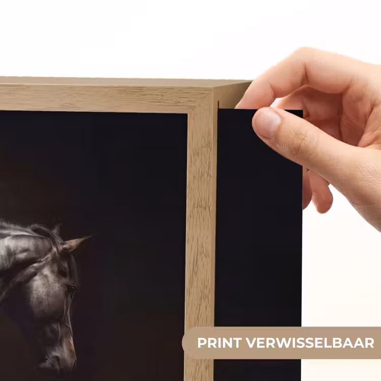 Lightbox - Wandlamp - Krachtig - Paard - Donker — 5
